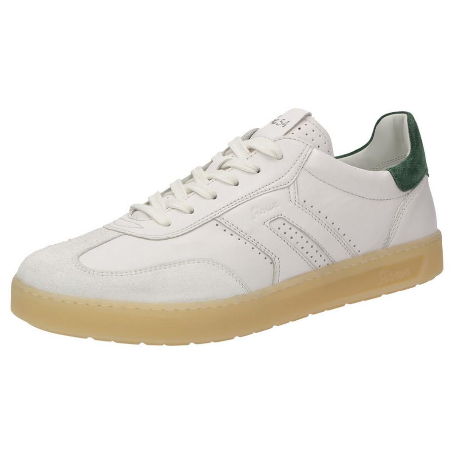 Sneaker Tedroso-711