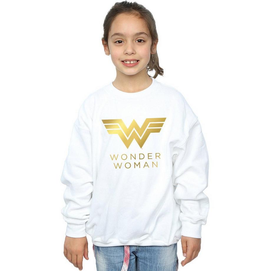 DC COMICS  84 Sweatshirt 