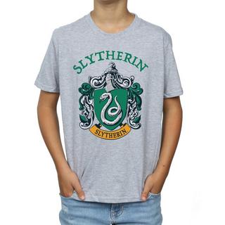 Harry Potter  Slytherin TShirt 