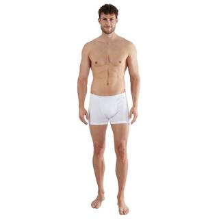 Götzburg Boxer Body Fit  