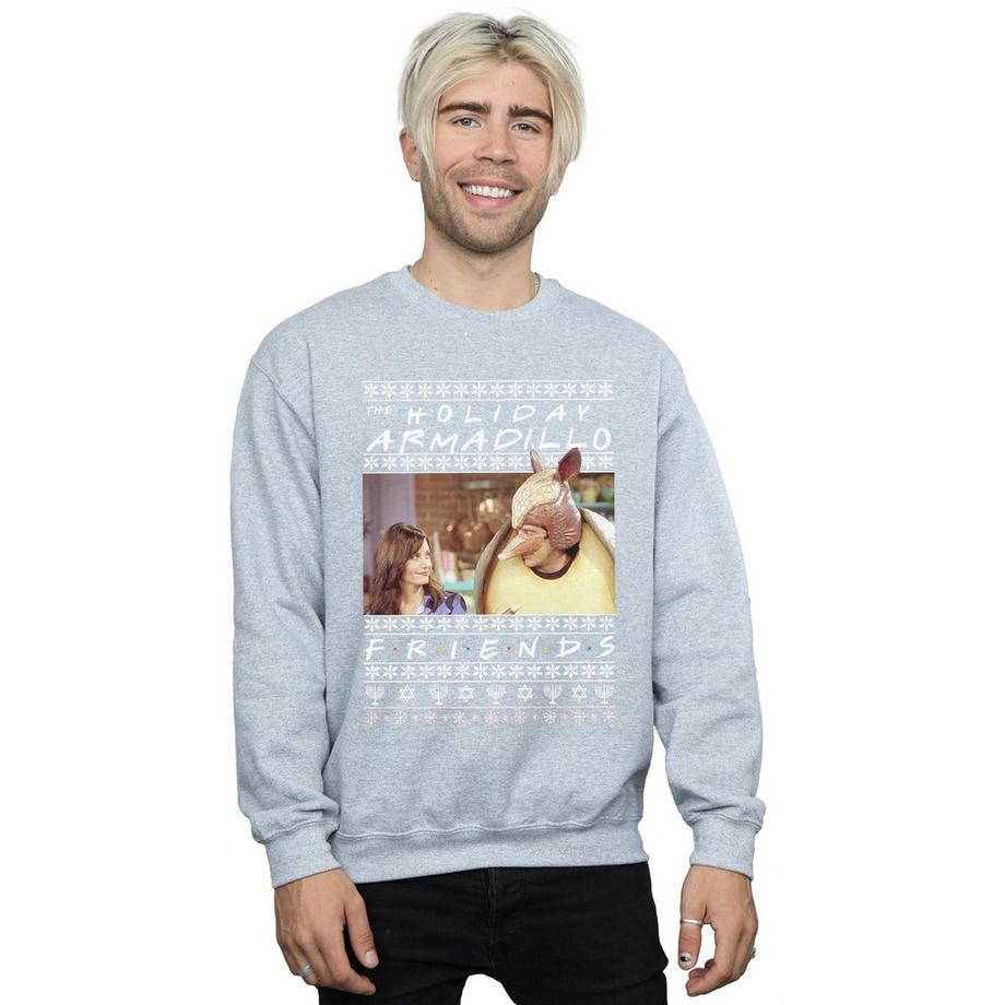 Friends Holiday Armadillo Sweatshirt  