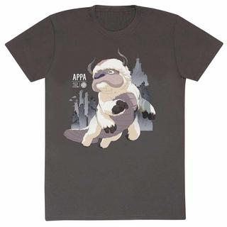 Heroes Avatar Der Herr der Elemente Appa T-Shirt  