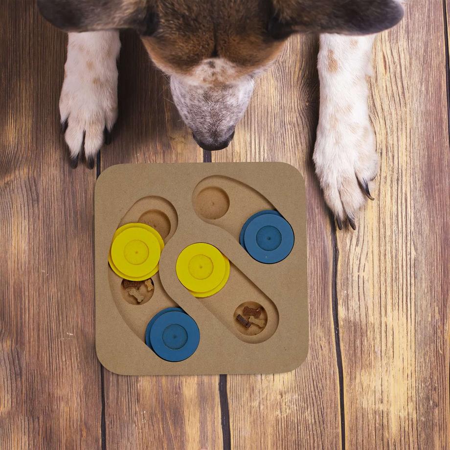 B2X  Intelligentes Spielzeug für Hunde 