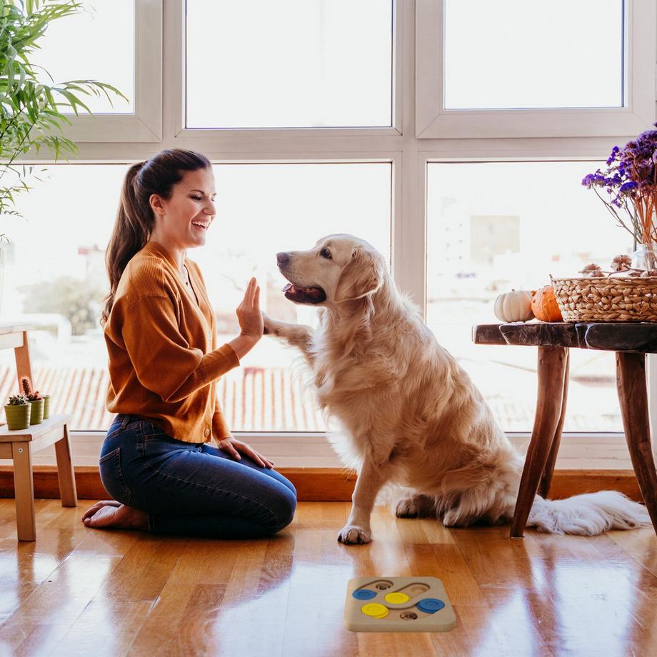 B2X  Intelligentes Spielzeug für Hunde 