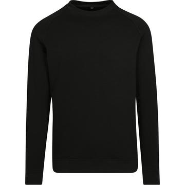 Sweatshirt  Raglanärmel