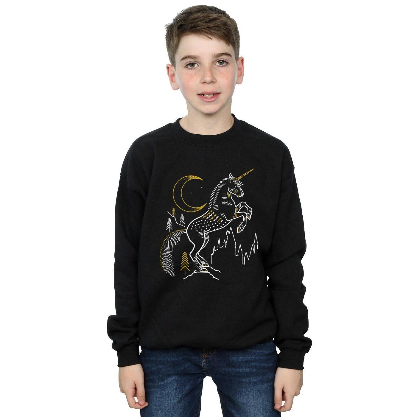 Harry Potter  Sweatshirt 