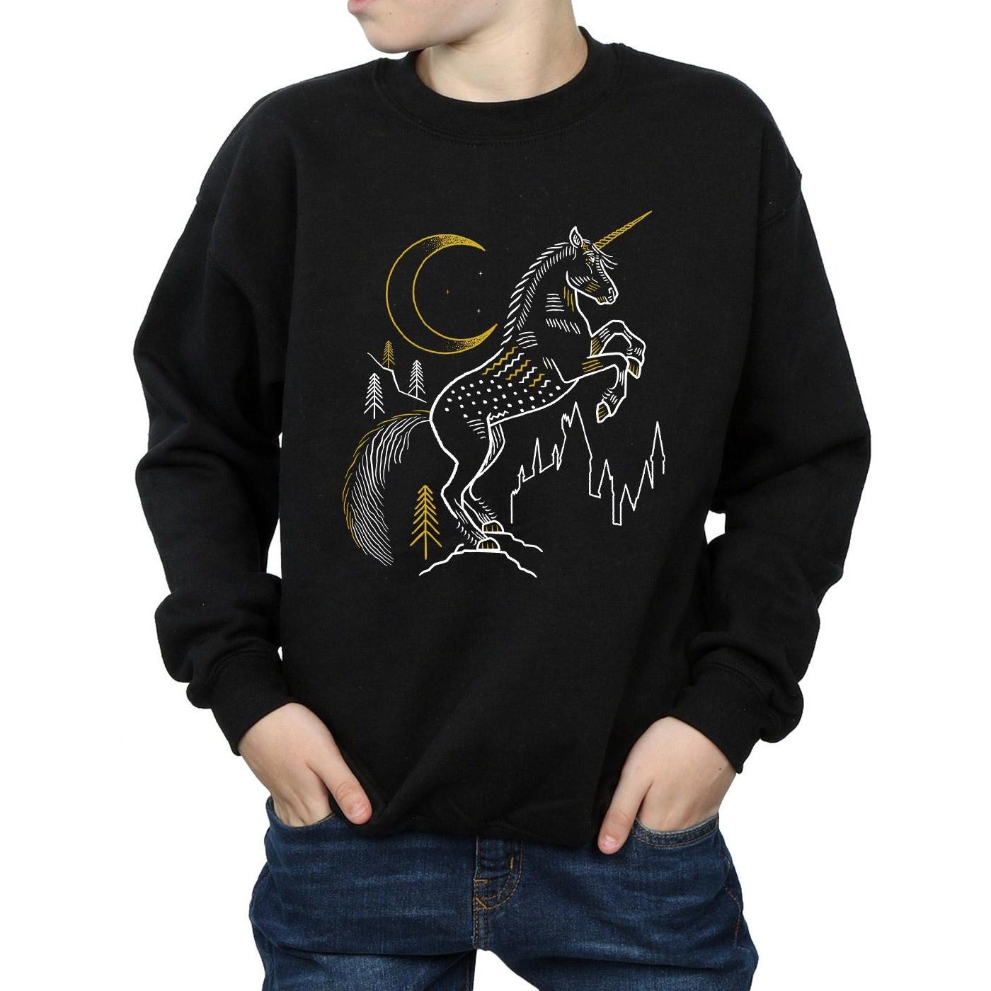 Harry Potter  Sweatshirt 