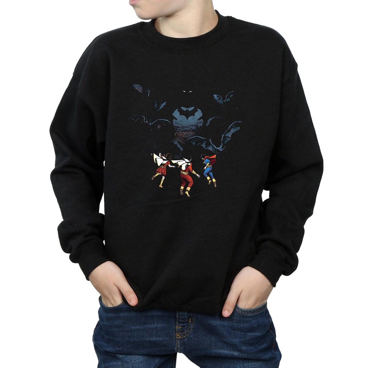 DC COMICS  Sweatshirt 