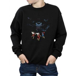 DC COMICS  Sweatshirt 