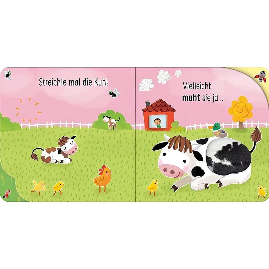 Streicheln und Lauschen: Ich grunze! Glaubst du nicht? Dann kraule mich! Taplin, Sam Gebundene Ausgabe 