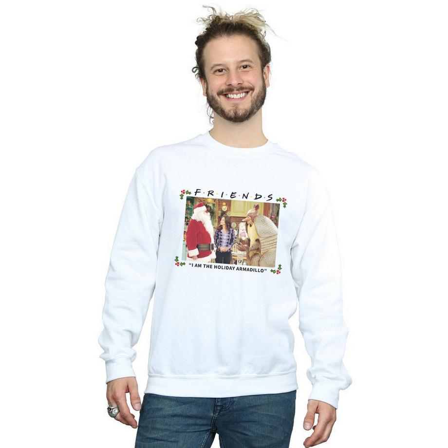 Friends I Am The Holiday Armadillo Sweatshirt  