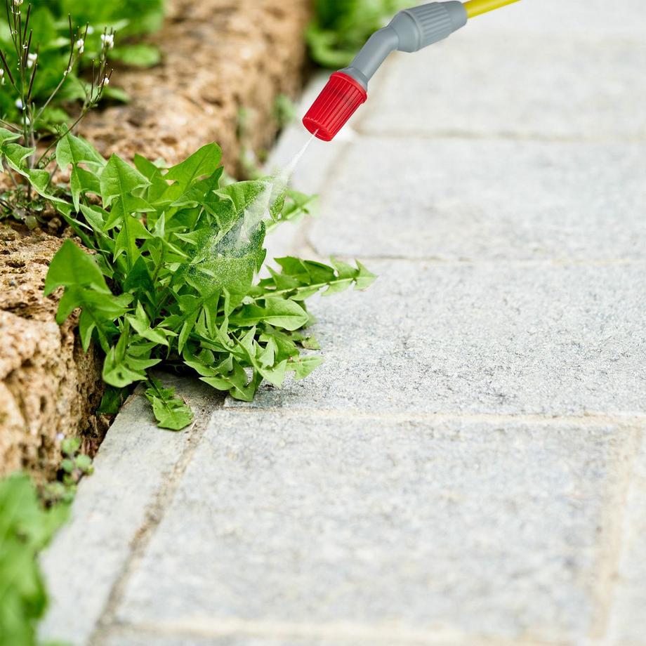 B2X  Drucksprüher 5 l 