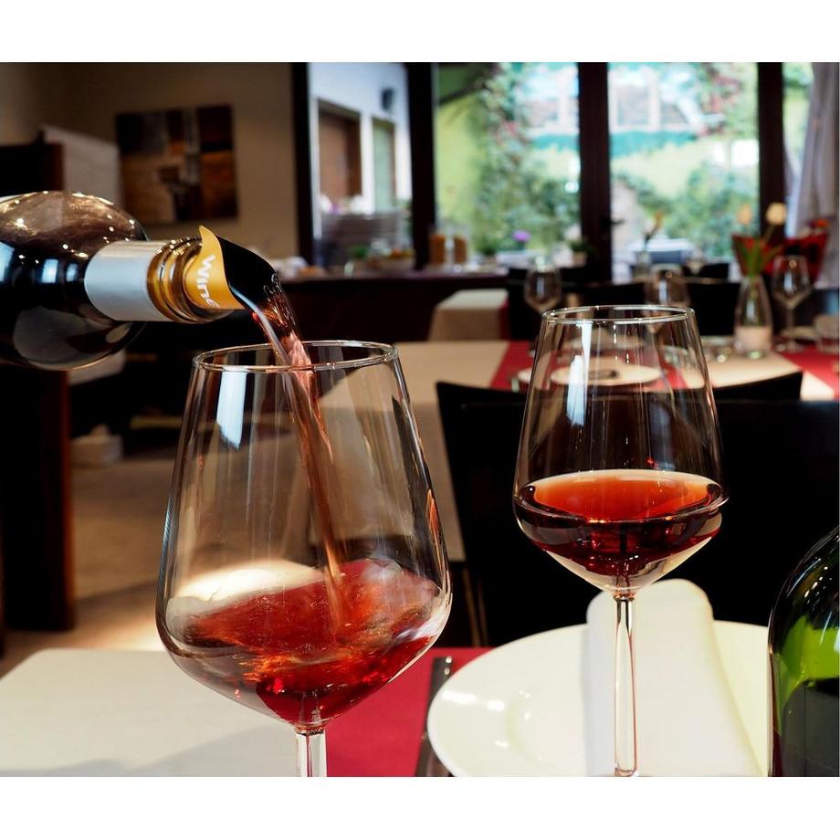 Pulltex Drop Stop Wein Ausgiesser, Flaschen Ausschank Hilfe  