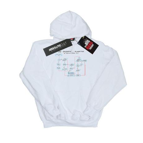 The Big Bang Theory Friendship Algorithm Sweat à capuche  