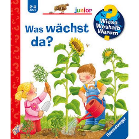 Wieso? Weshalb? Warum? junior, Band 22: Was wächst da? Droop, Constanza; Droop, Constanza (Illustrationen) Gebundene Ausgabe 