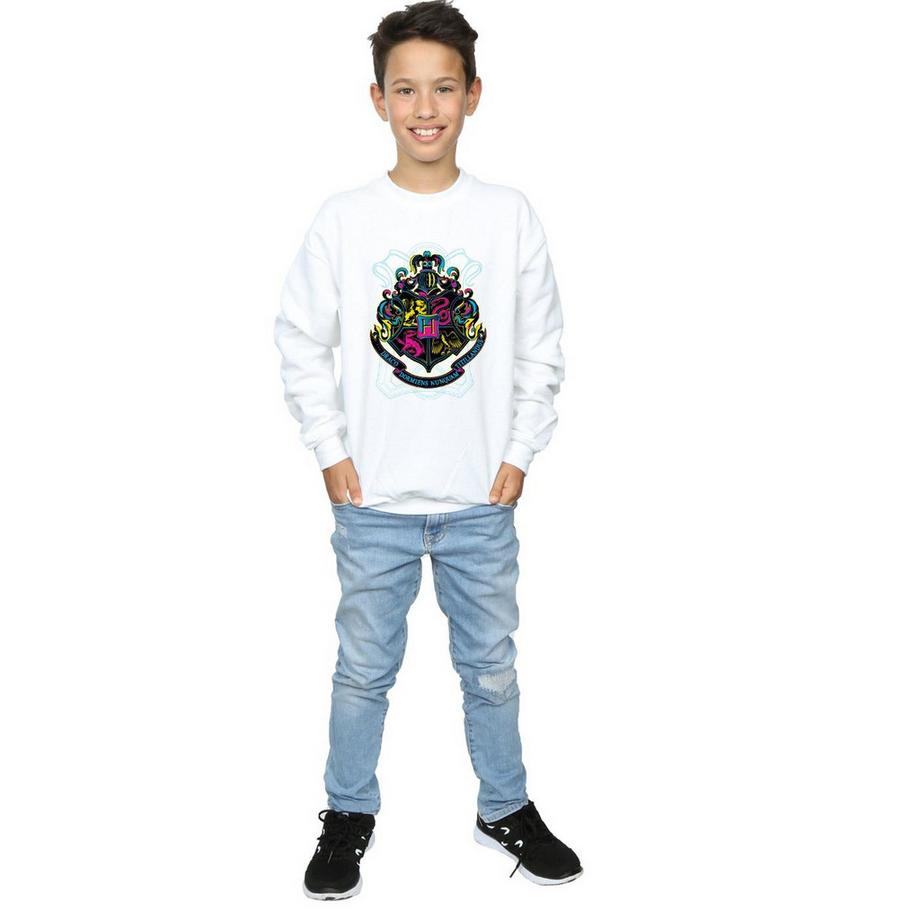 Harry Potter  Sweat HOGWARTS 