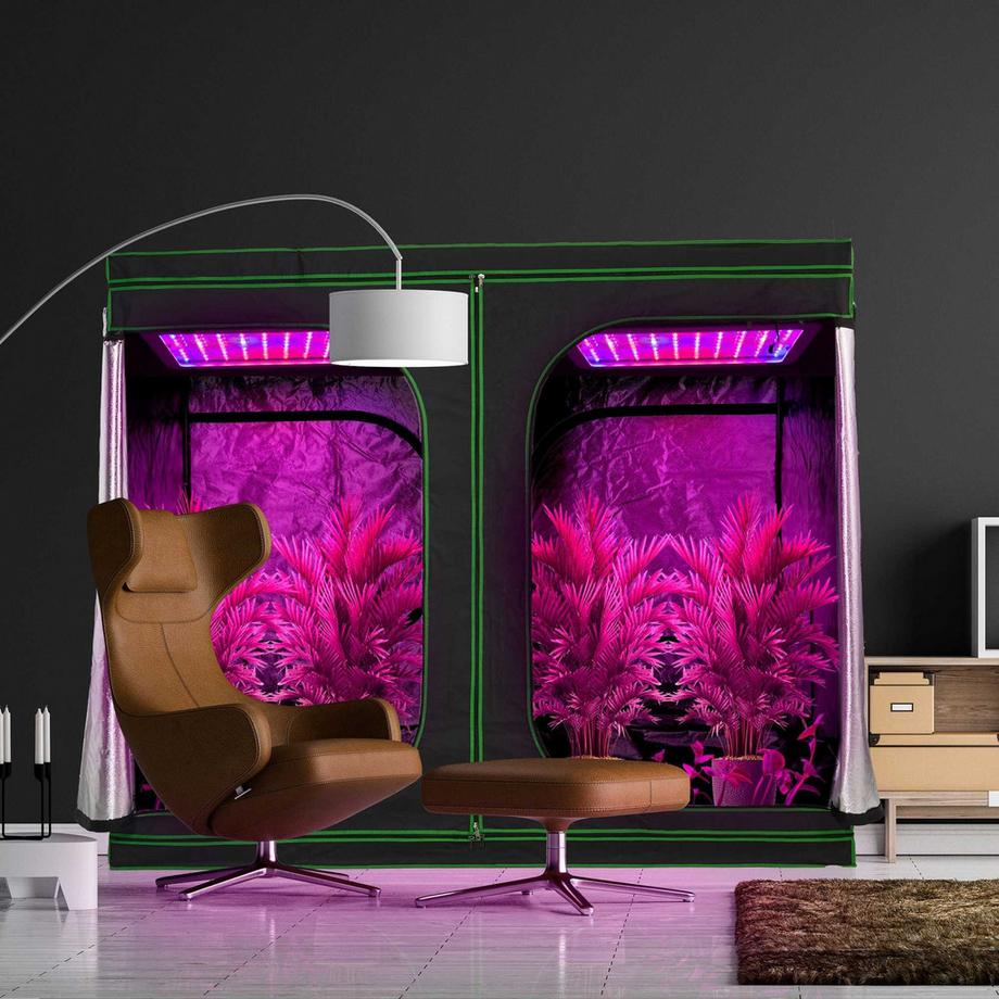 Growbox im Innenbereich