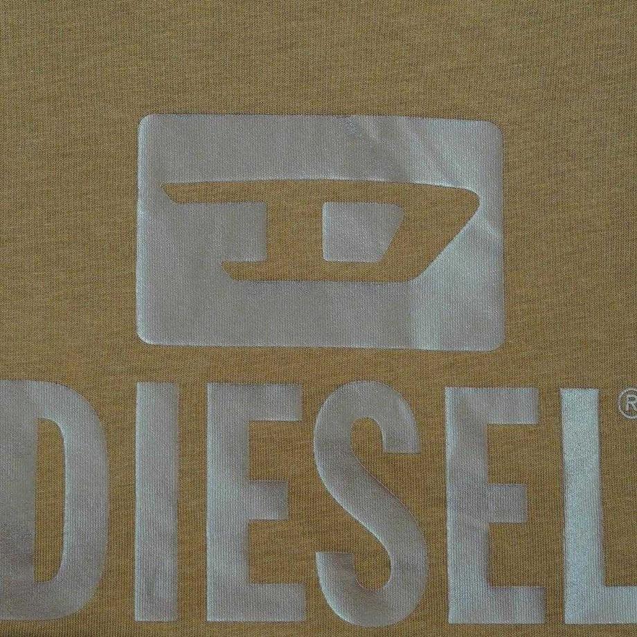 DIESEL  T-ShirtMotiftyle Logo Monochrome 