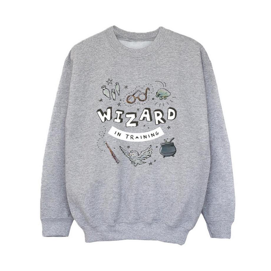 Sweat WIZARD IN TRAINING