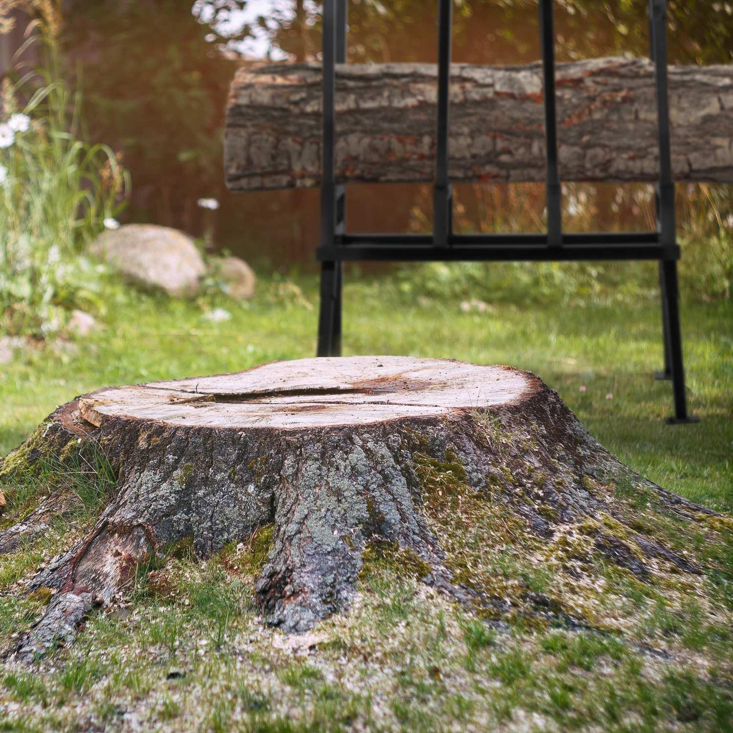 B2X Support de scie 400 kg  