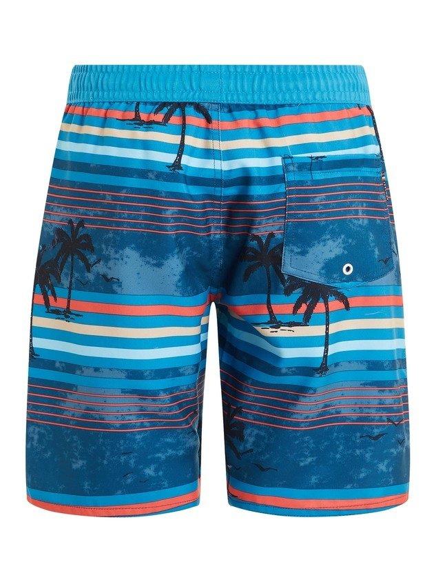 PROTEST  Jungen Badeshorts Prtjason DeepDive blu 