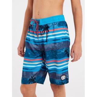 PROTEST  Jungen Badeshorts Prtjason DeepDive blu 