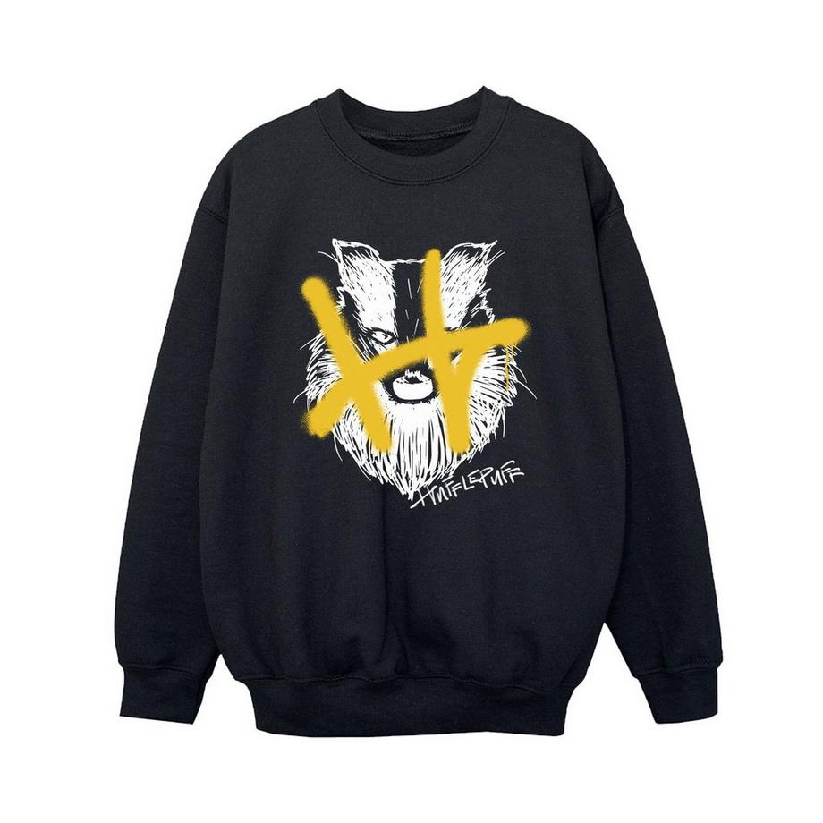 Harry Potter  Sweat HUFFLEPUFF 