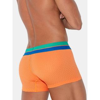 Code22  Boxer Bright Mesh 