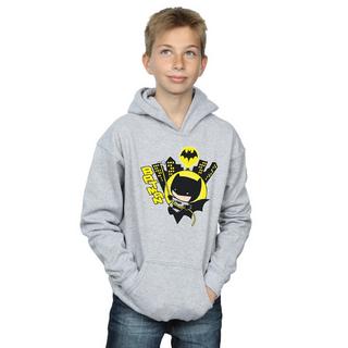 DC COMICS  Sweat à capuche 