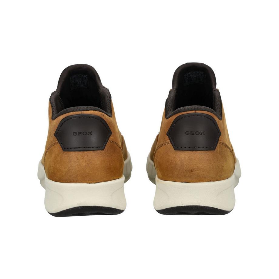 GEOX Sneaker montante  