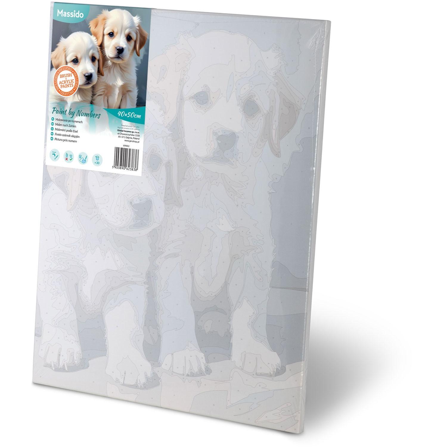 B2X Malen nach Zahlen 40x50 cm Massido Welpen  