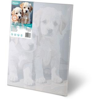 B2X Malen nach Zahlen 40x50 cm Massido Welpen  