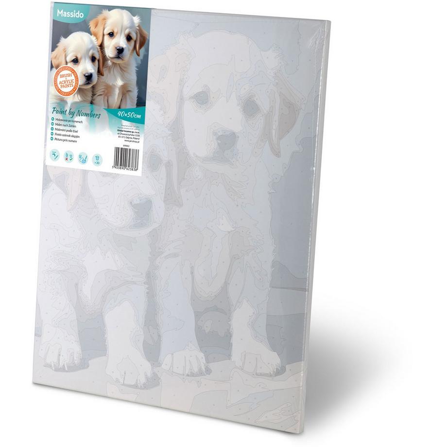 B2X Peinture par numéros 40x50 cm Chiots Massido  
