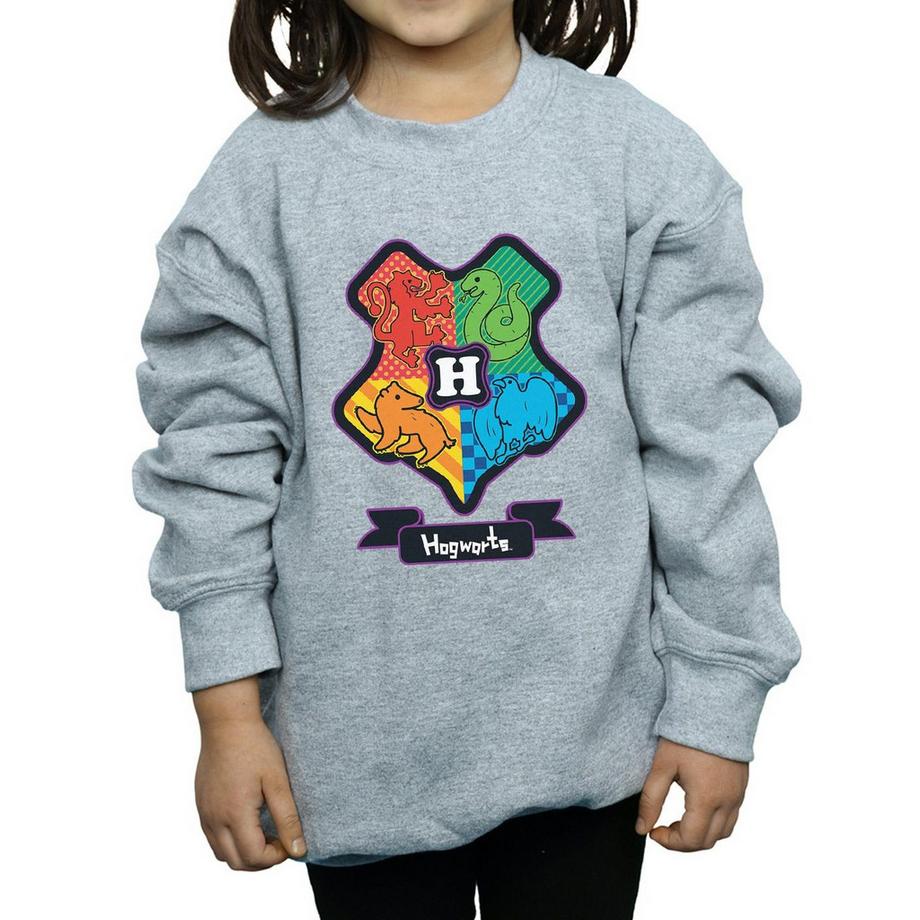 Harry Potter  Sweatshirt 