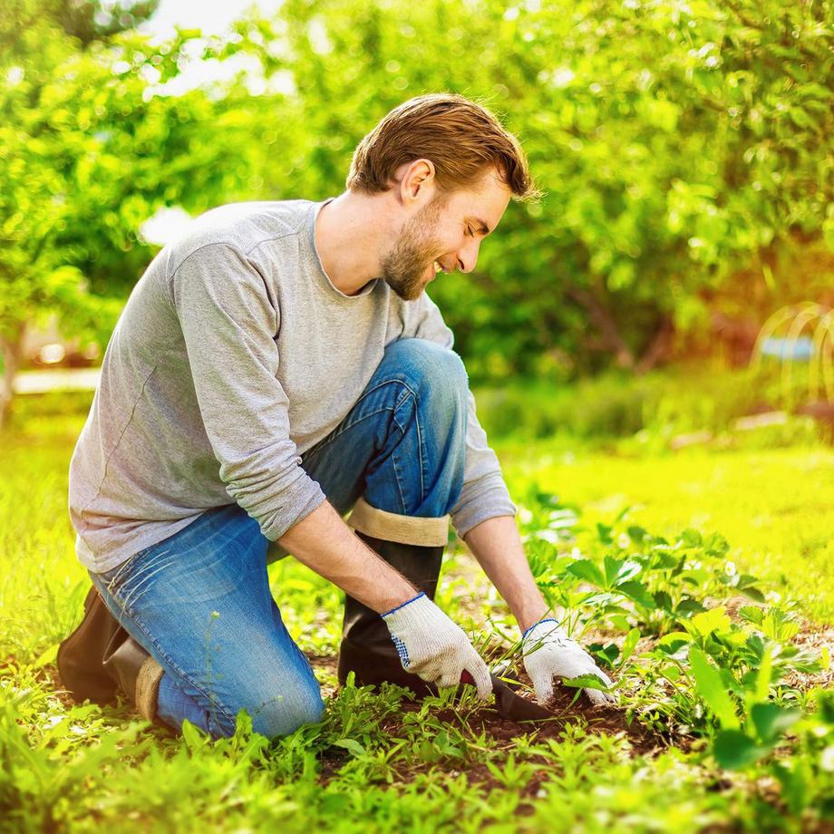 Northix  Unkrautvlies 5 Meter 50g/m² 