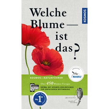 Welche Blume ist das?