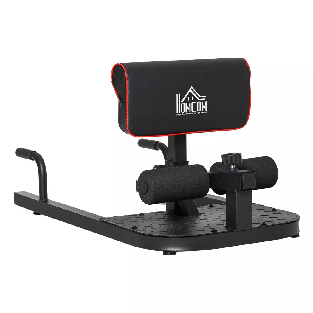 Northio - Sissy Squat Kniebeugentrainer Bein Bauchtrainer 3In1 Verstellbar Bis 120Kg Stahl Schwarz 50X97X44,5-56,5Cm, One Size