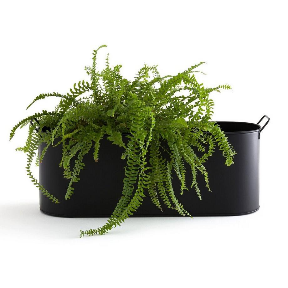 La Redoute Intérieurs Cache-pot / Jardinière en métal  