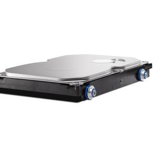 Hewlett-Packard  Unità disco rigido SATA (NCQ/Smart IV) da 500 GB 7200 rpm 6,0 Gbp/s 