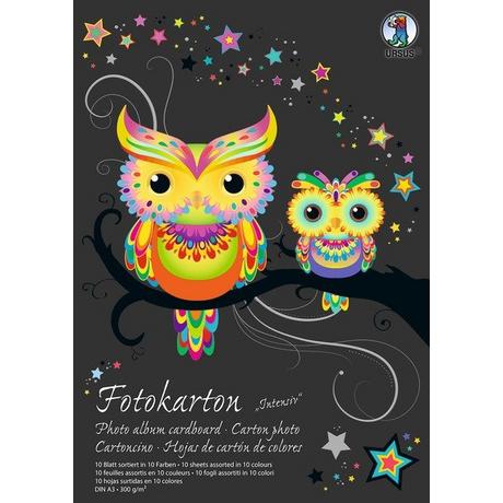 Ursus URSUS Fotokarton-Block A3 3814099SE 300g, 10 Farben int. 10 Blatt  