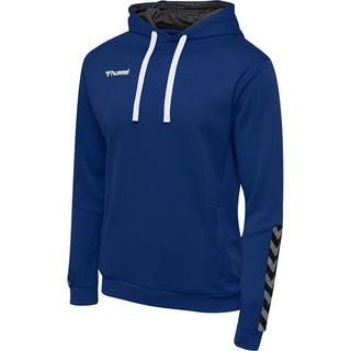 Hummel  hoodie hmlauthentic poly 