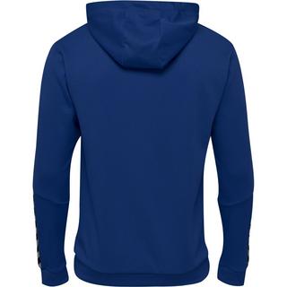 Hummel  hoodie hmlauthentic poly 