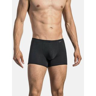 Olaf benz RED1601 Boxer  