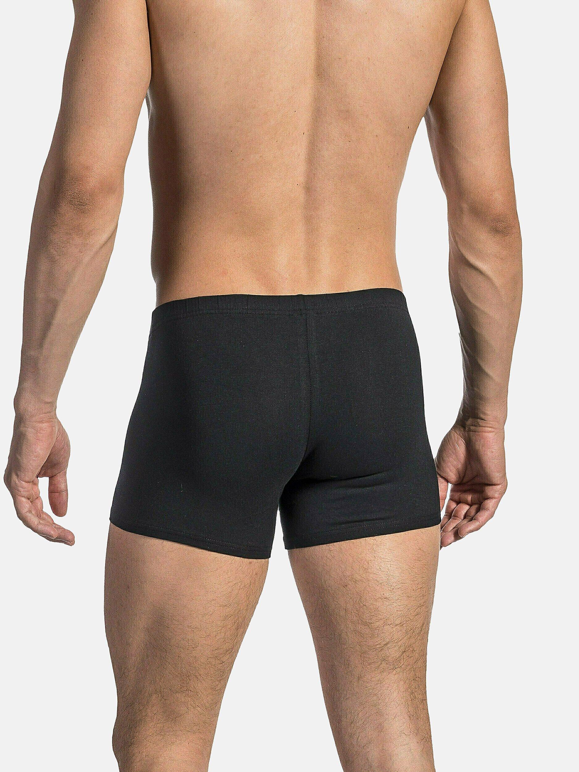 Olaf benz RED1601 Boxer  