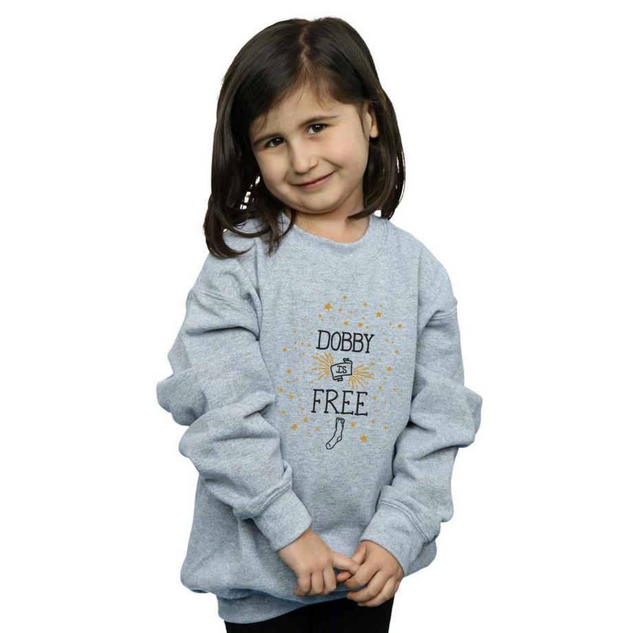Harry Potter  Dobby Is Free Sweatshirt 