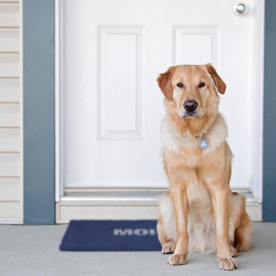 B2X Zerbino in fibra di cocco Moin  