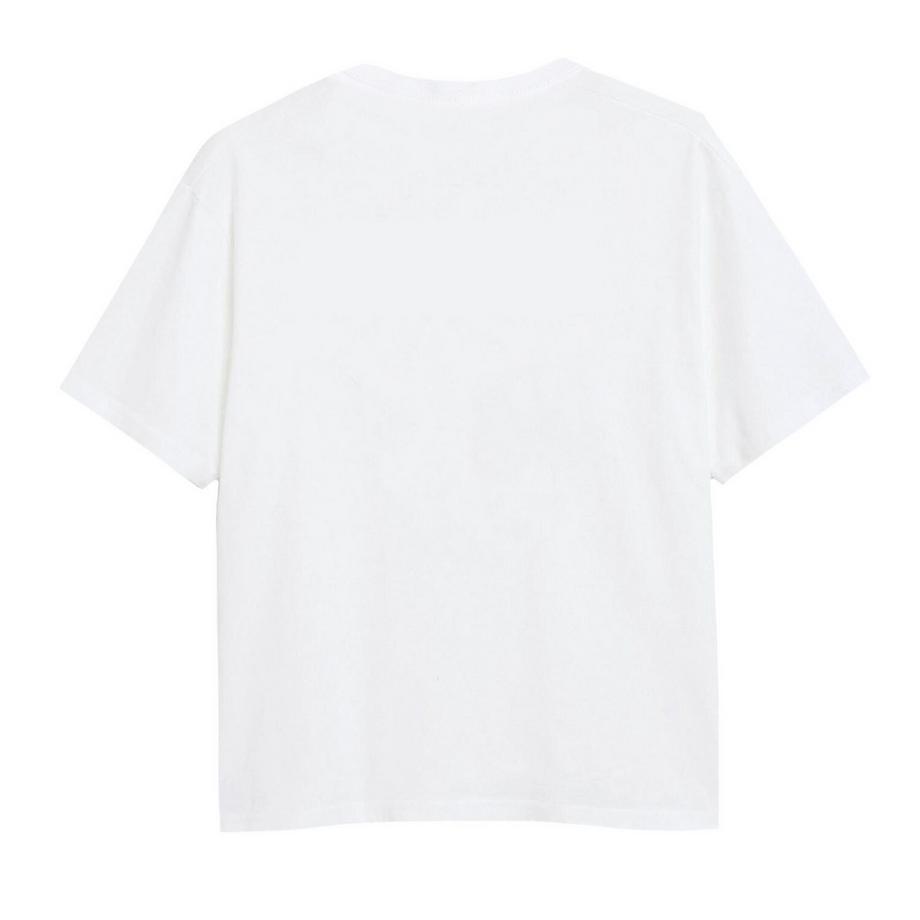 Jurassic Park  Tshirt 