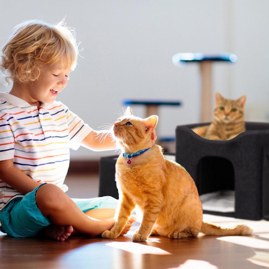 B2X  Katzenversteck mit mehreren Betten 