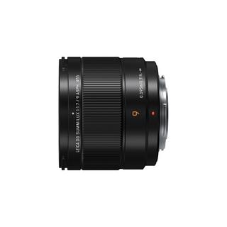 Panasonic  Panasonic H-X09 MILC Obiettivo ultra-ampio Nero 