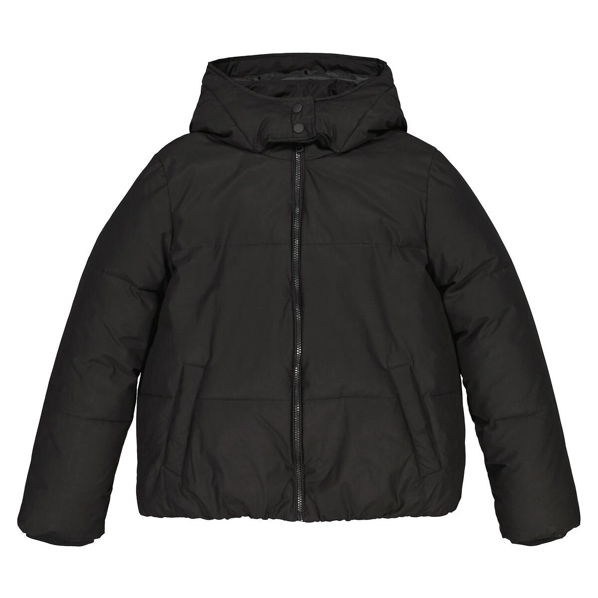 La Redoute Collections  Gesteppte Winterjacke mit Kapuze 